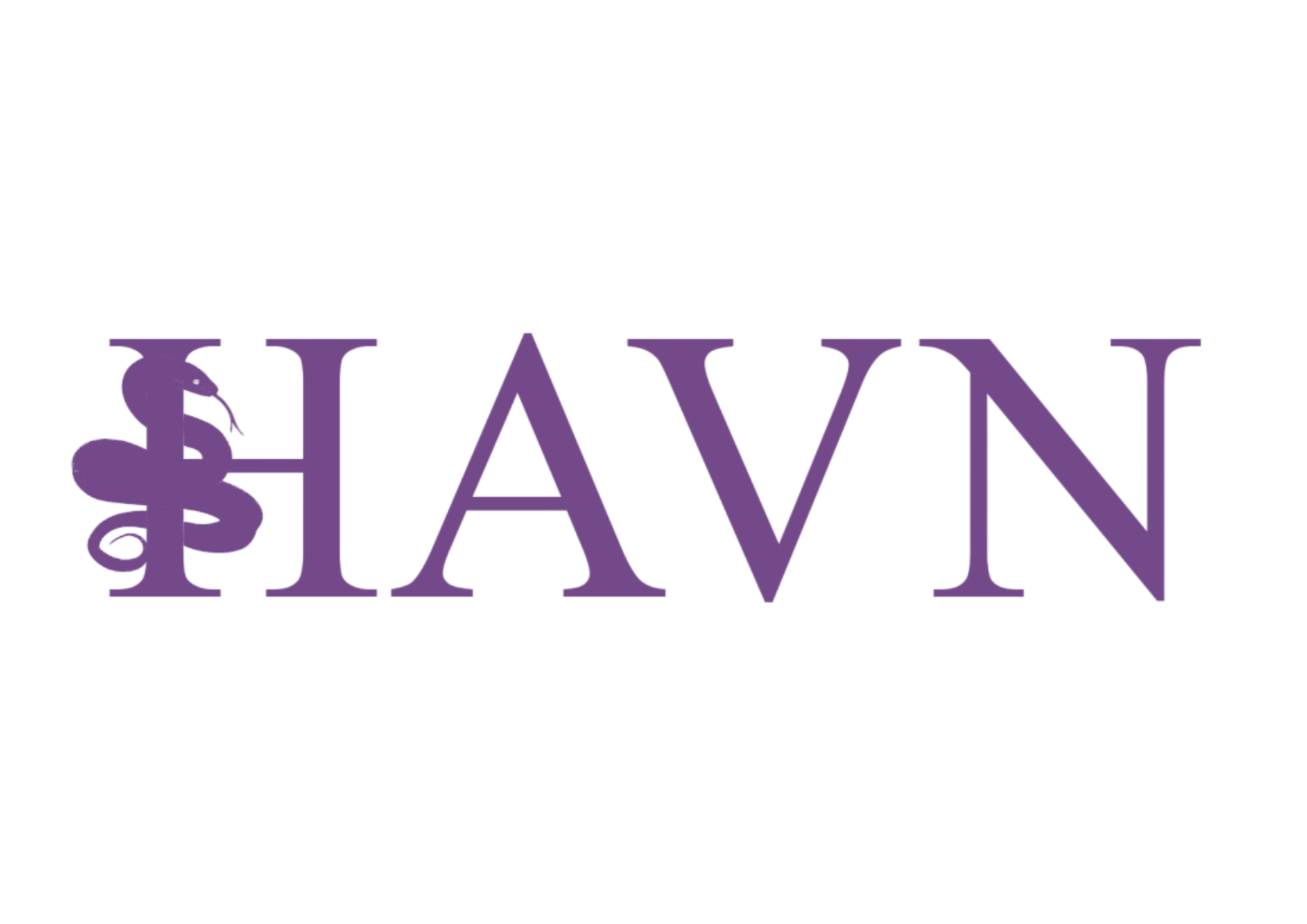 HAVN Purple